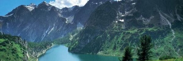 Bitcoin_Austria Profile Banner