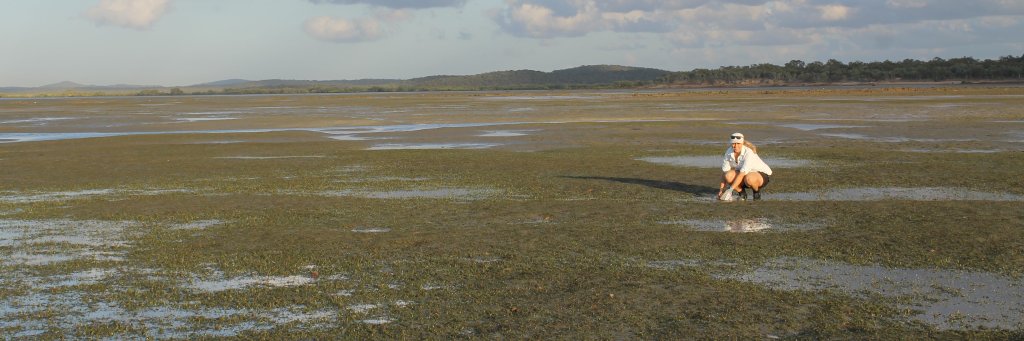 Kristin Jinks banner