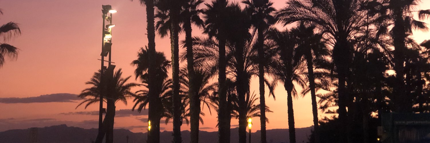 MagdaAlek's profile banner image