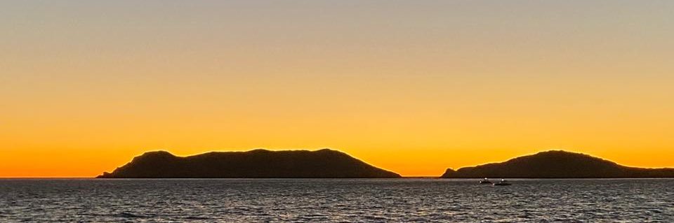 CarlosAdan_'s profile banner image