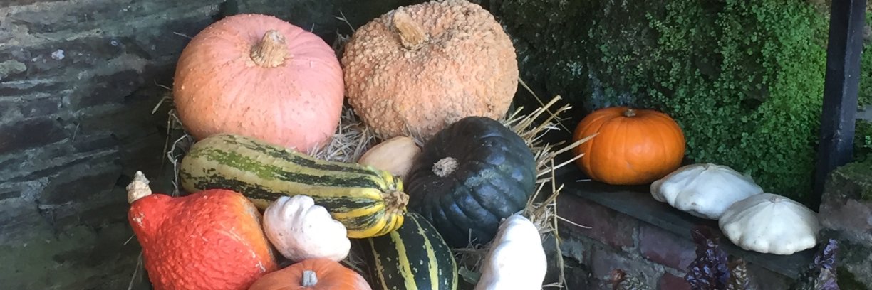 Kathryn Taylor💙 banner