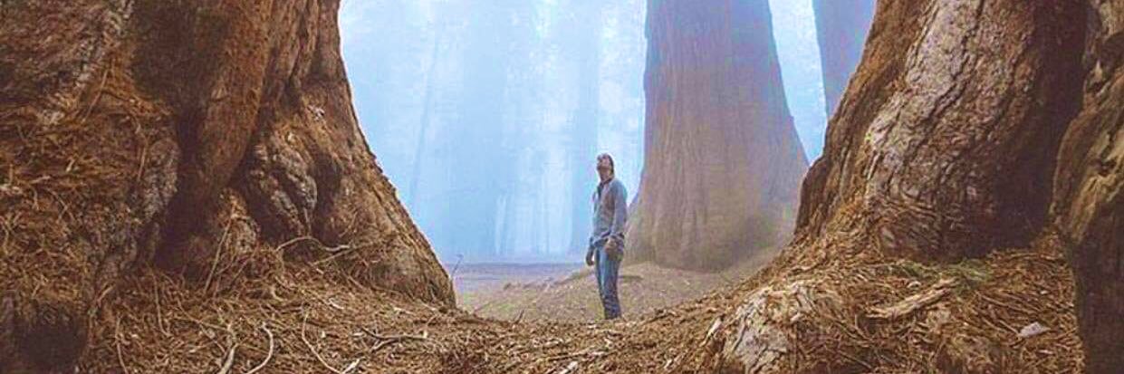 Jesus Monroy Sanchez banner