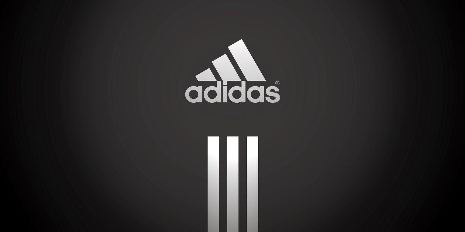 Luis Fernando Medrano banner