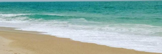 Andrée Archbold 👩🏻‍💻🎾 banner