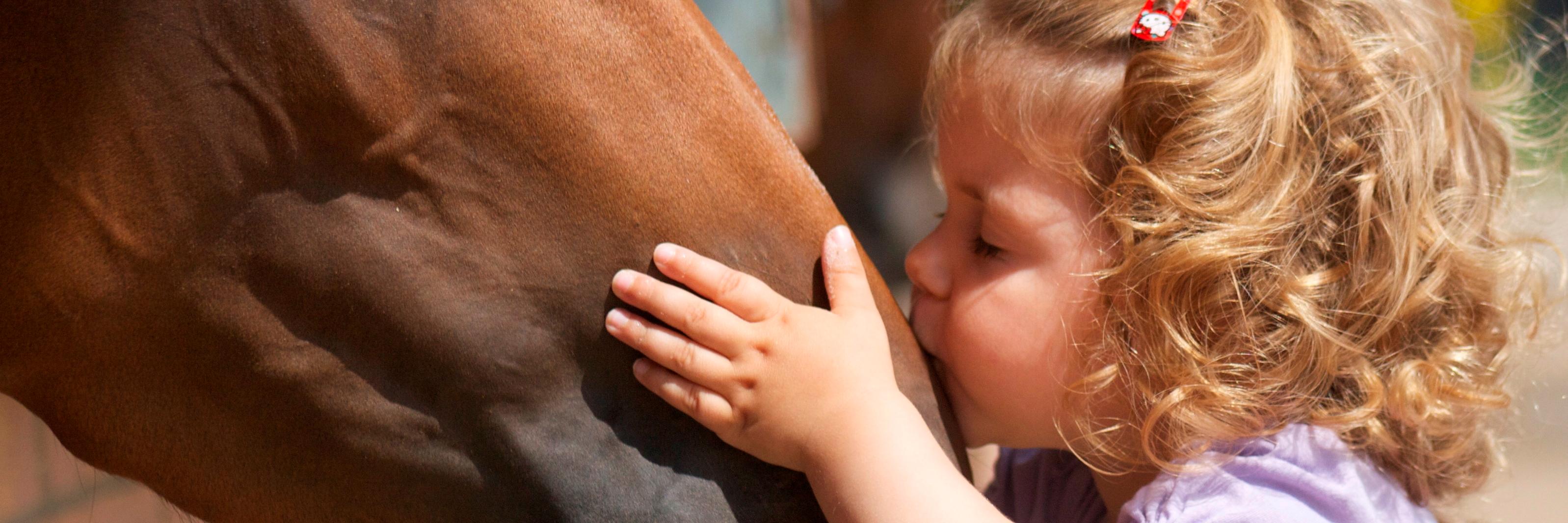 Our Special Friends banner
