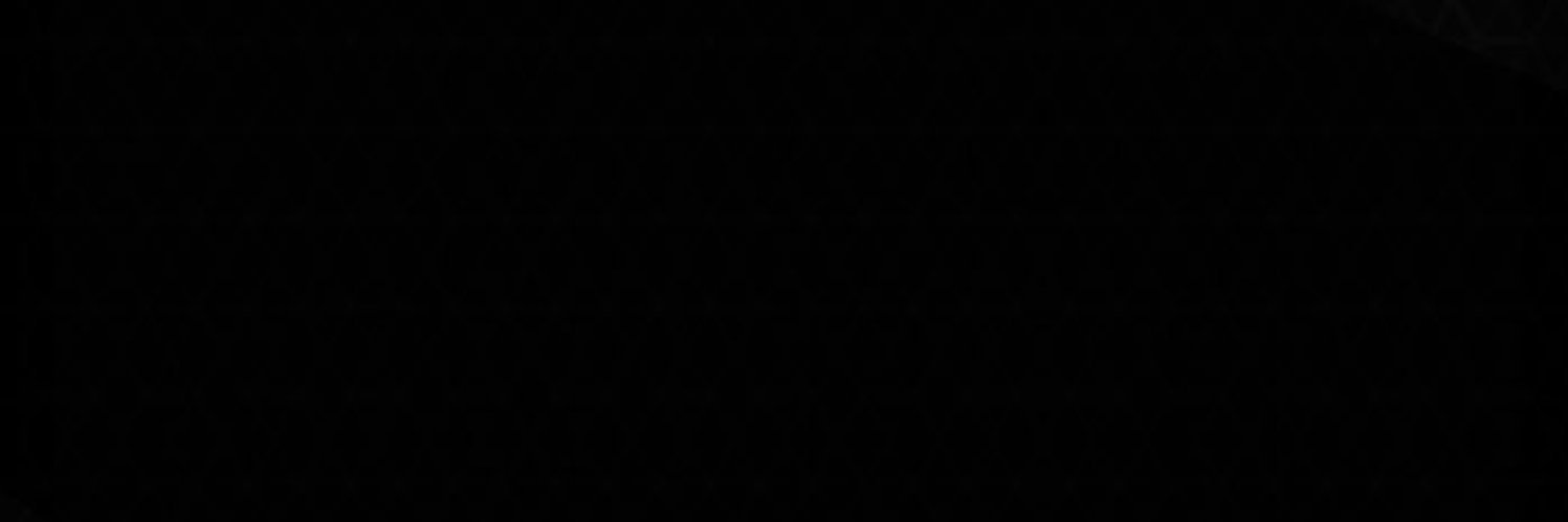 p88roa's profile banner image