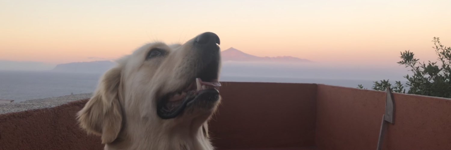 ivancoarm's profile banner image