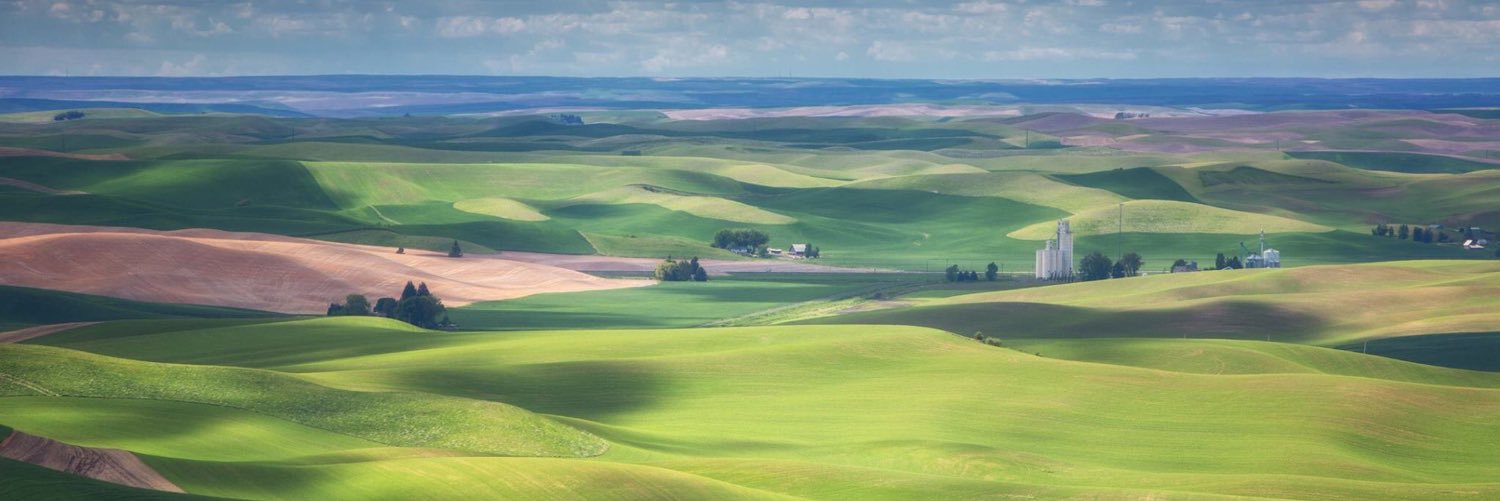 ialfield's profile banner image