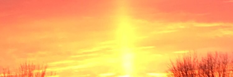 SarahKulzer's profile banner image