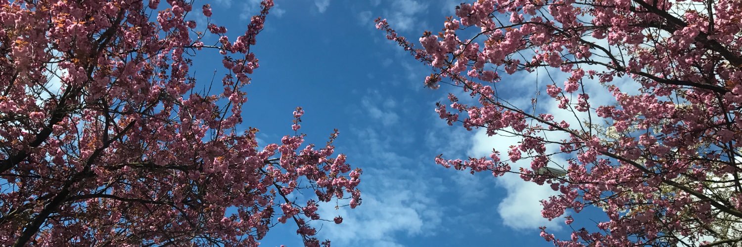 tanl0p's profile banner image