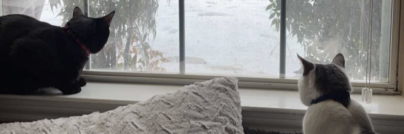 emilylonggg's profile banner image