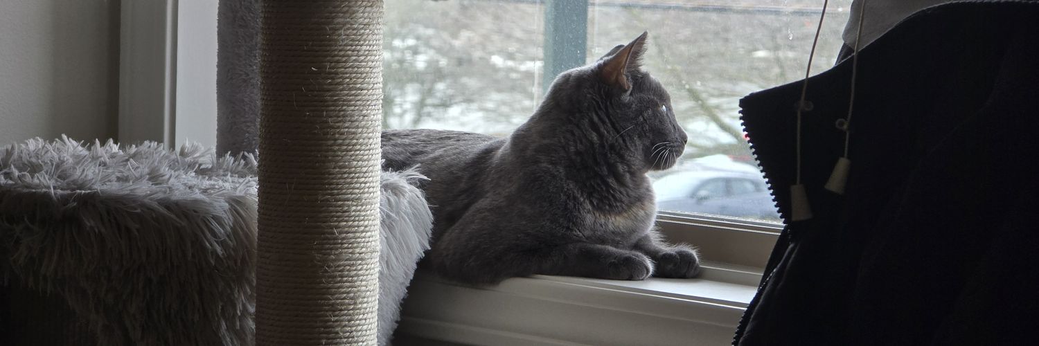 infidelkastro/The Devil Lived banner