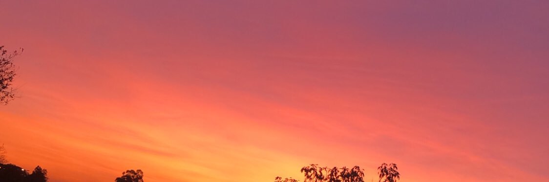 phpavaoz's profile banner image