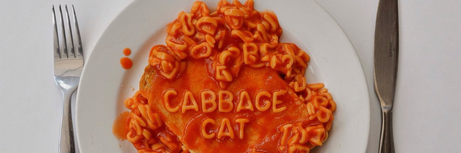 CabbageCatMemes's profile banner image