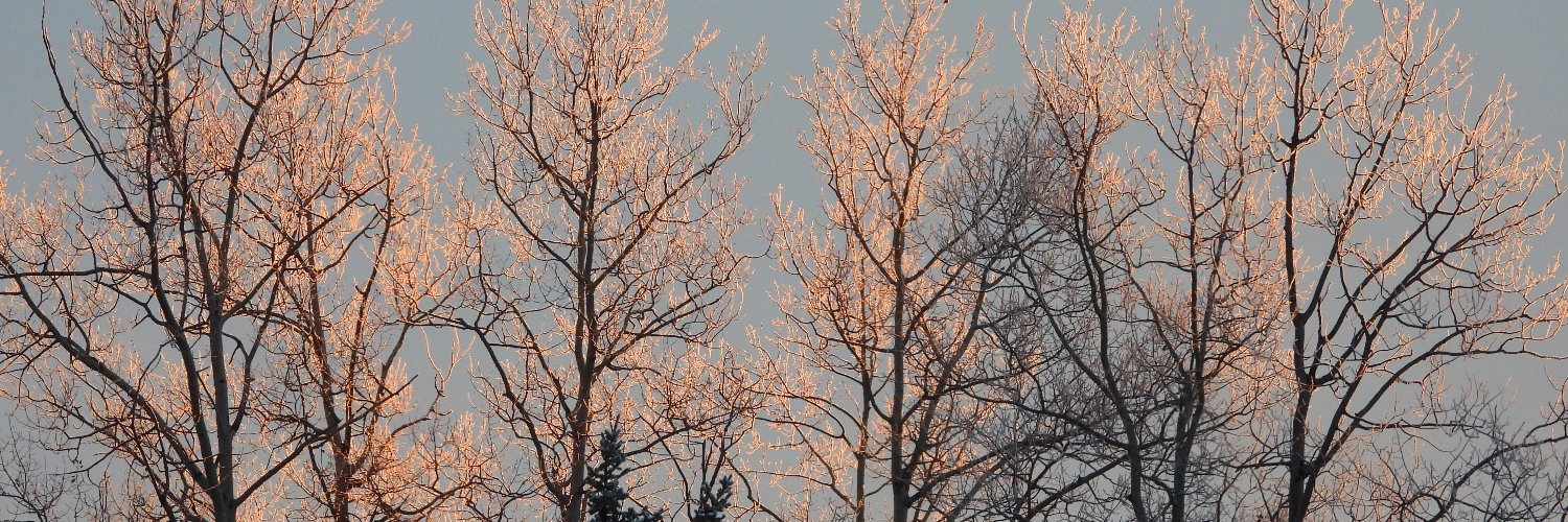 Fringeminority's profile banner image