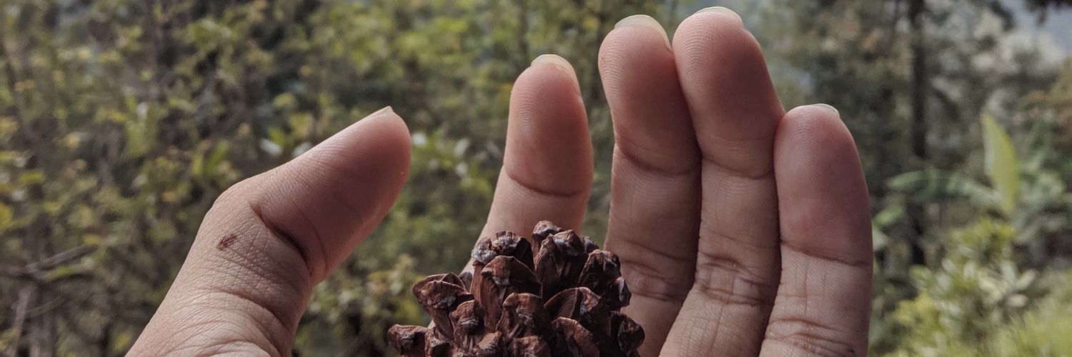 NeeOneee's profile banner image
