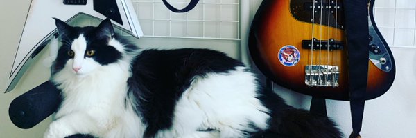 punpunsuruo Profile Banner