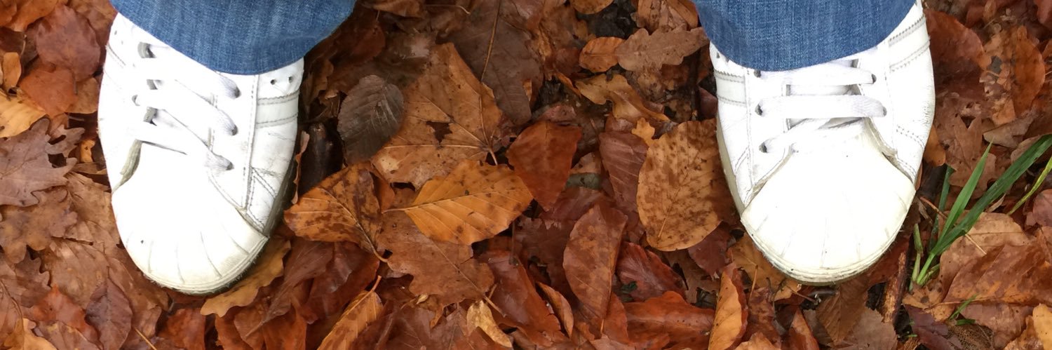 TurntableSpike's profile banner image