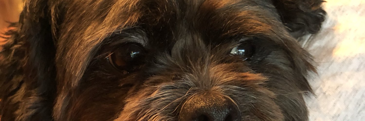 JAYFOX22's profile banner image