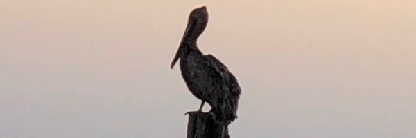 randallmmiller Profile Banner