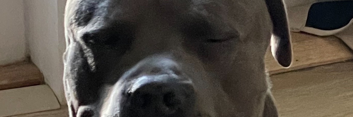 Che_Z_NotJayZ's profile banner image