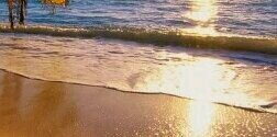 mailyy06's profile banner image