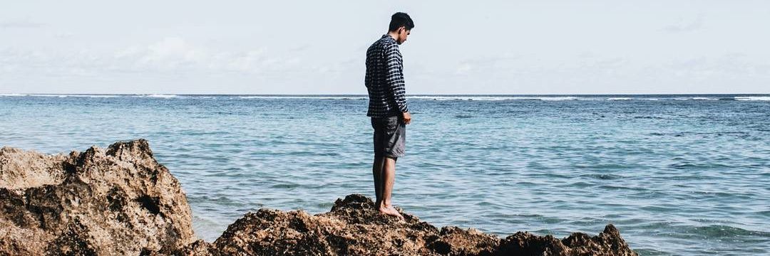 indocamry's profile banner image