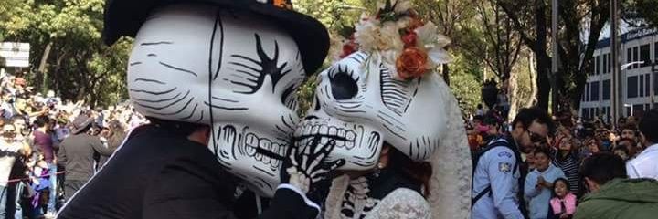 freddy_bcx's profile banner image
