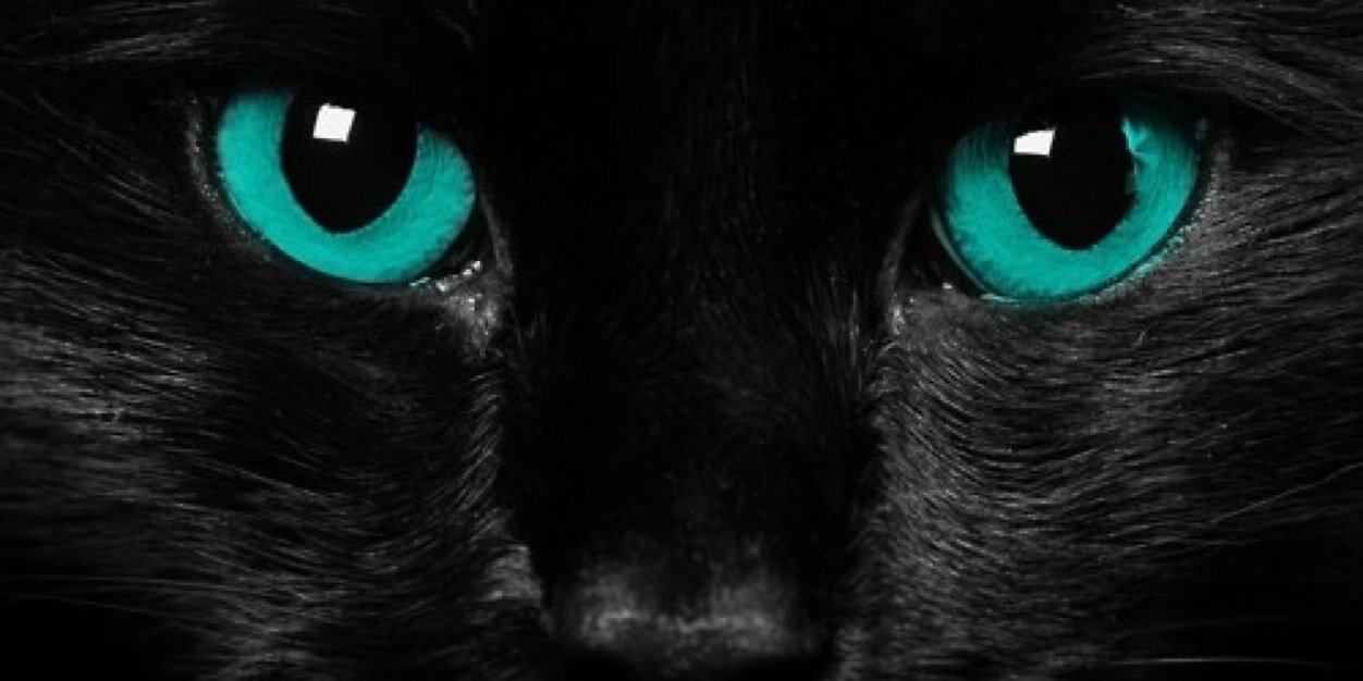 vinaaul's profile banner image