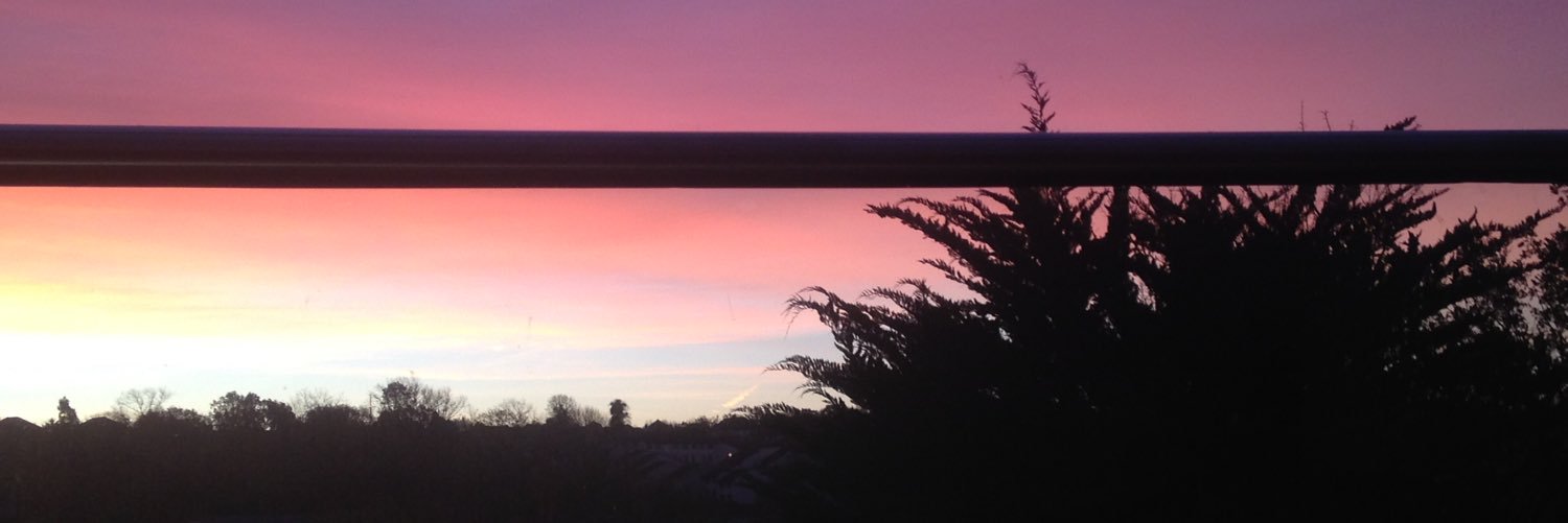 ellabruniges's profile banner image