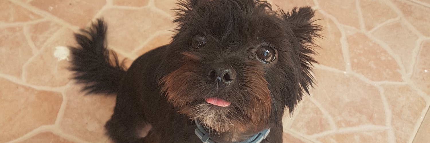 MayWenndy's profile banner image
