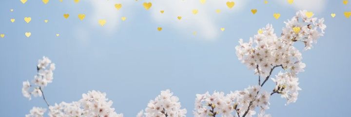 Main_PT's profile banner image