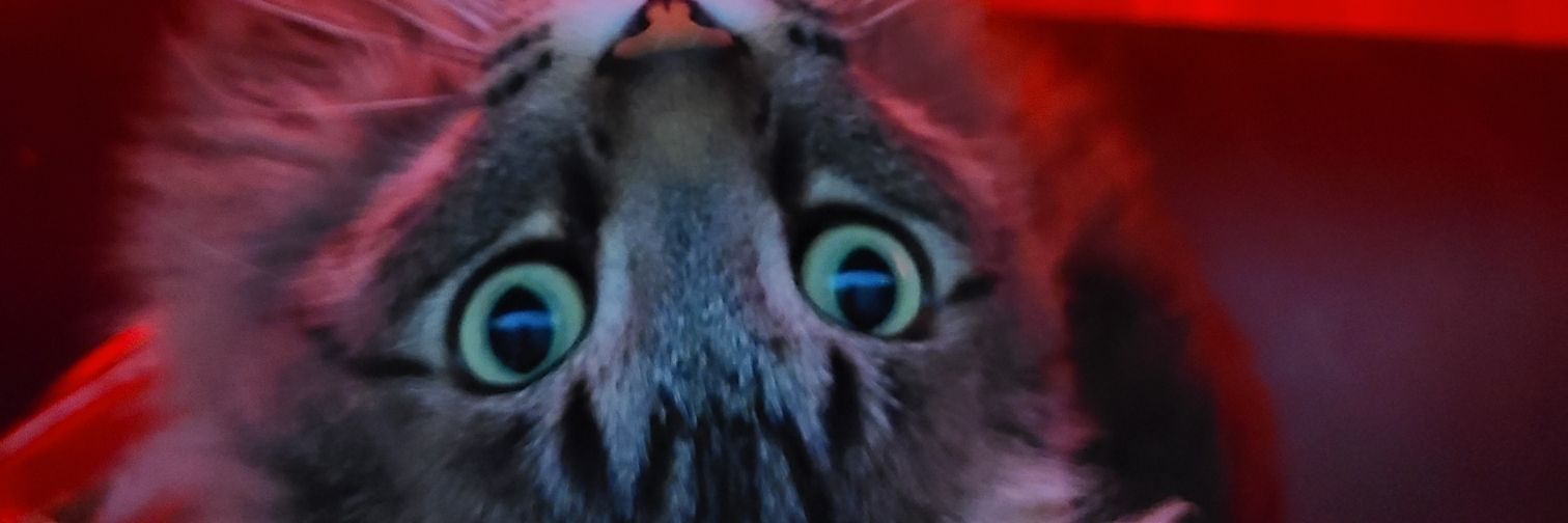 melmac614's profile banner image