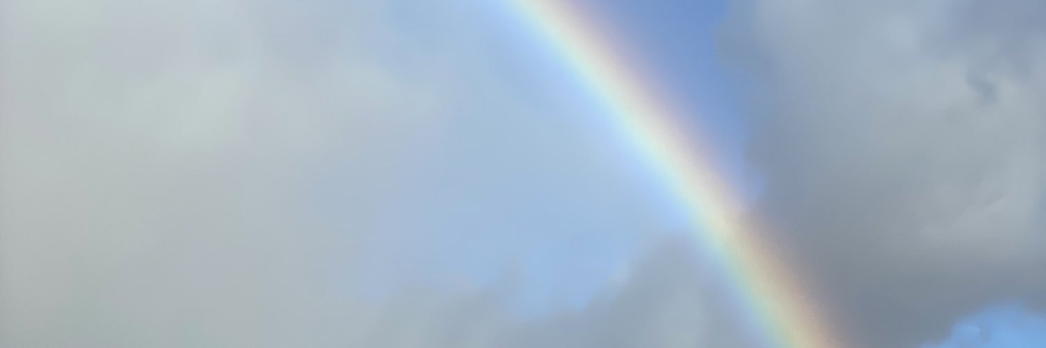 ayjoli's profile banner image