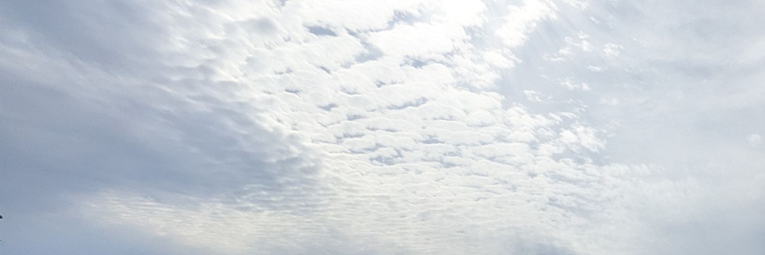 ushibutatory banner
