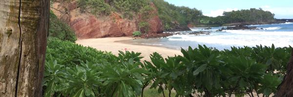 garrettdrose Profile Banner