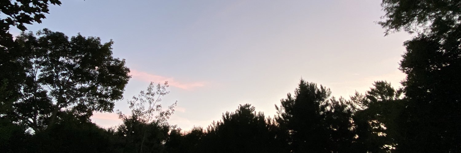 omnimarta's profile banner image