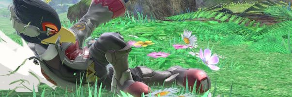 atoyaFal111's profile banner image