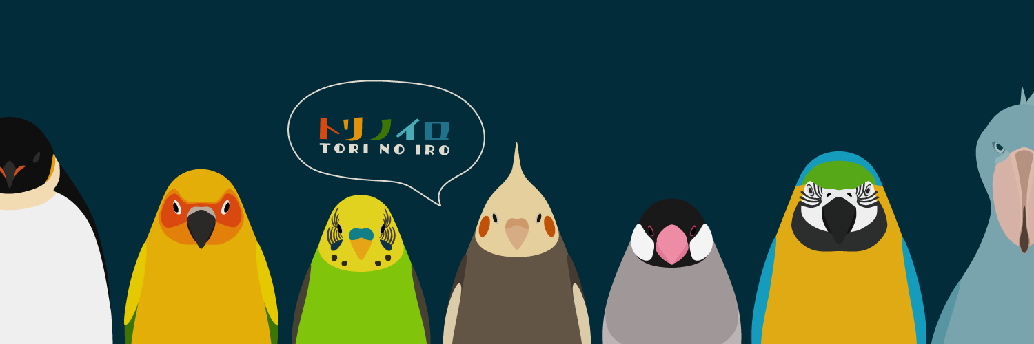 torinoiroApp's profile banner image