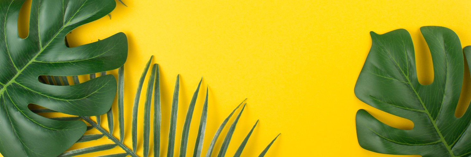 ChalkandCheeseD's profile banner image