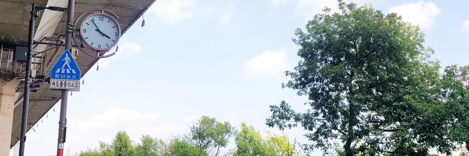 dongbui02's profile banner image