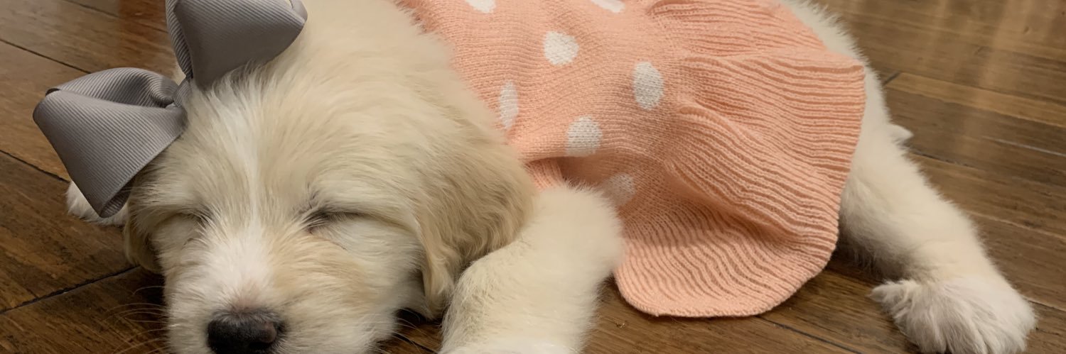 MakaylaDorner's profile banner image