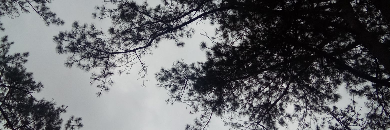 ITsCarlZone's profile banner image