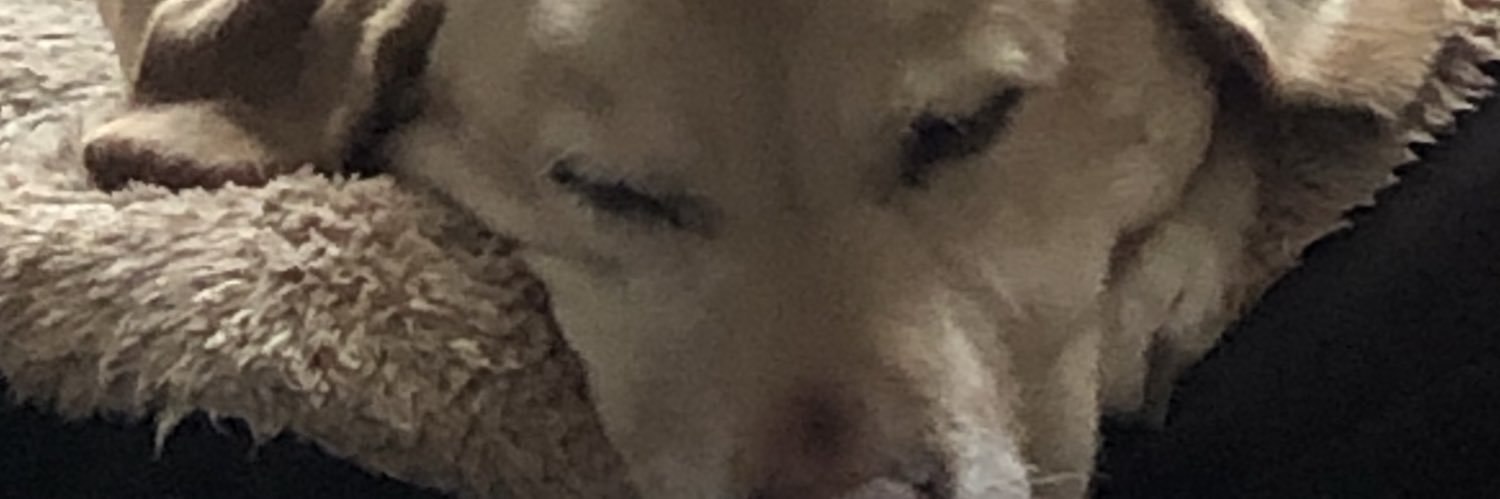 baz_raf's profile banner image