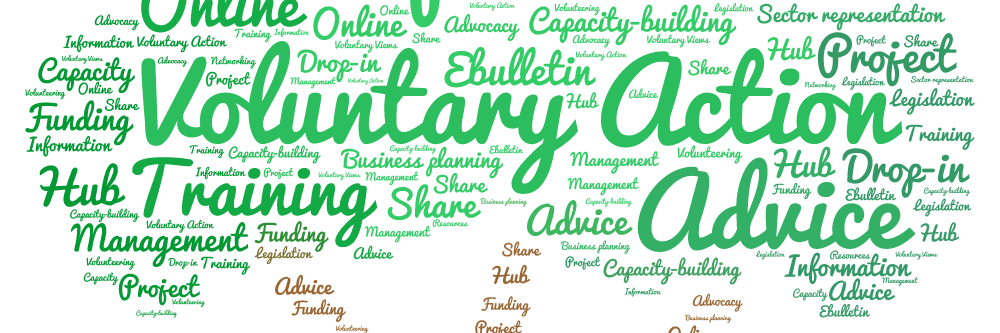 Voluntary Action WF banner