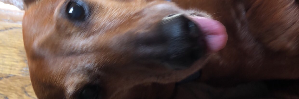 MadDogMars's profile banner image