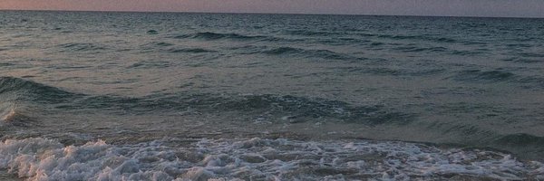 Thomp07Daisy Profile Banner