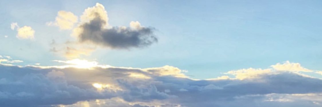 kellyflynn's profile banner image