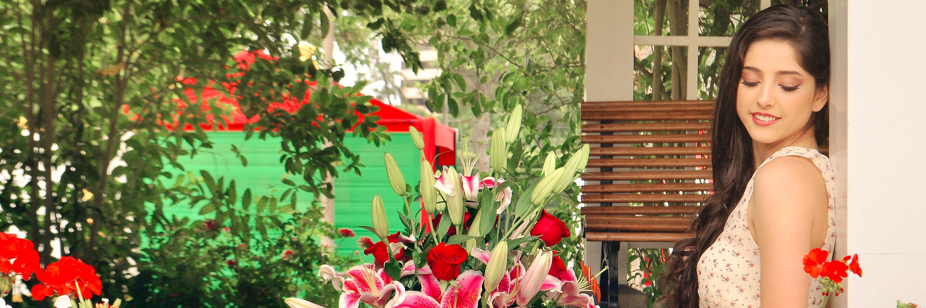 debbieassil's profile banner image