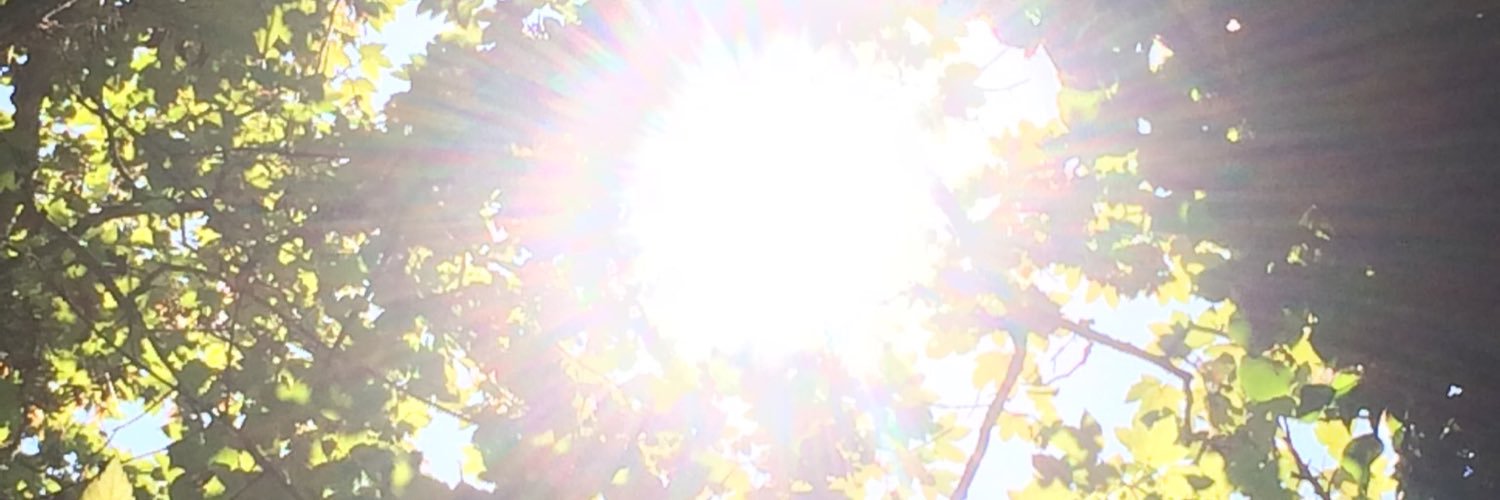 idussel's profile banner image